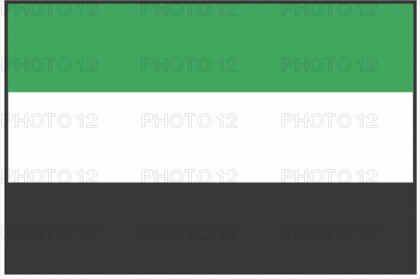 Flag of the province of Estremadura