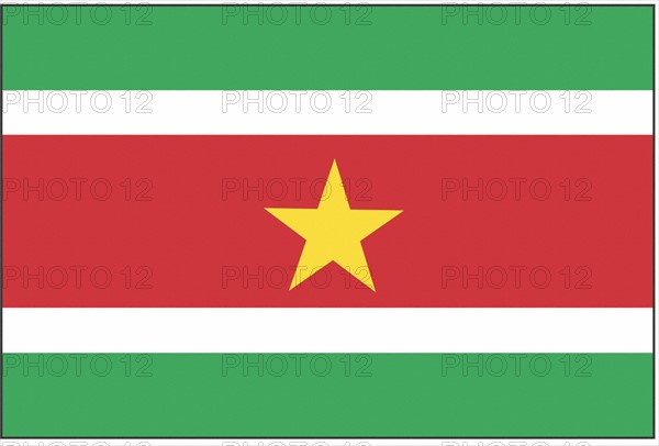 Drapeau du Surinam