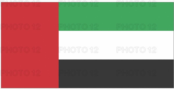 Drapeau des Emirats Arabes Unis