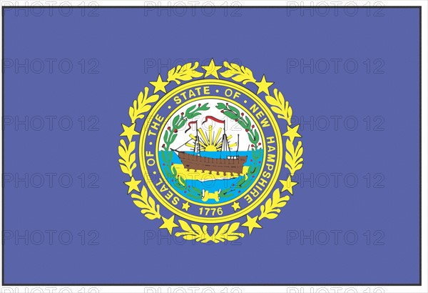 New Hampshire state flag