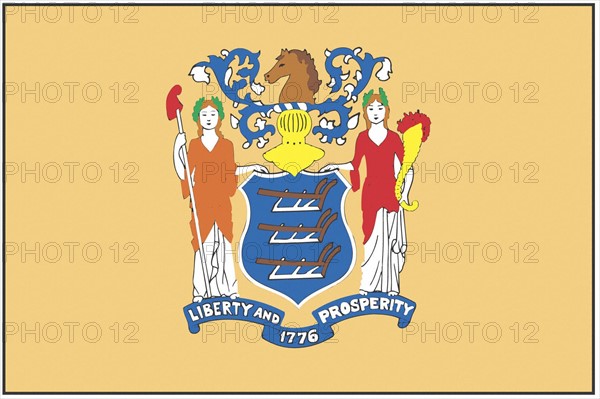 New Jersey state flag