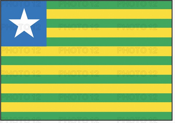 Piaui state flag