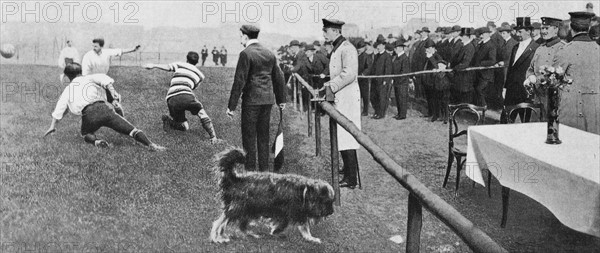 Le prince héritier Guillaume de Prusse assiste à un match de football