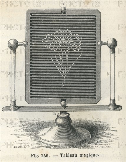 Les Merveilles de la science, 1867