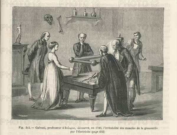 Les Merveilles de la science, 1867