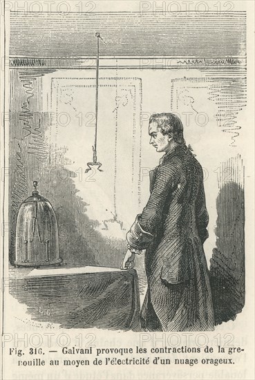 Les Merveilles de la science, 1867