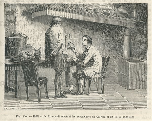 Les Merveilles de la science, 1867