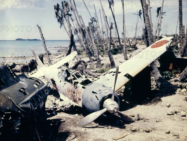Destroyed Japanese fighter plane on a Pacific island, World War II