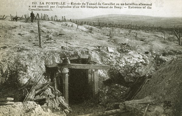 Entrée sud du tunnel du Mont Cornillet