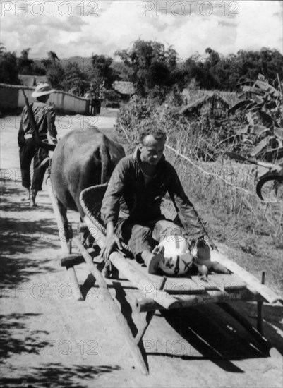 Wounded American pilote made prisoner