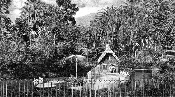 Madeira, public garden