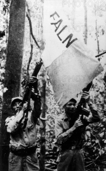 Cuban Revolution. Guerrillas in the bush