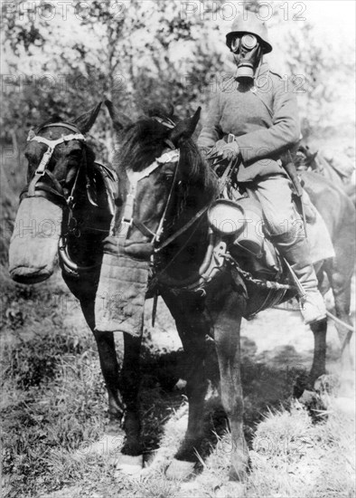 Soldat allemand à cheval portant un masque à gaz (1914-1918)