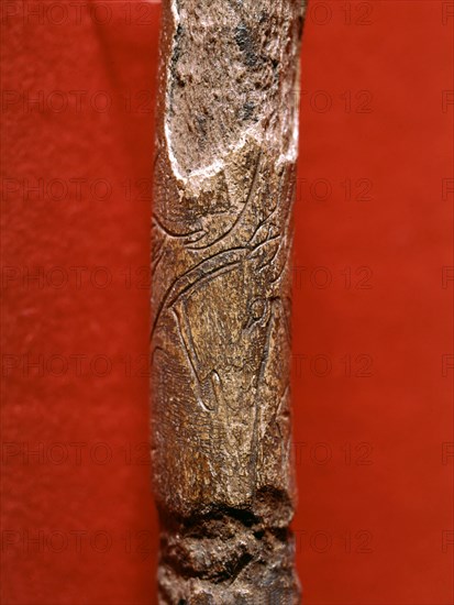 Engraved bone found in Lortet, France