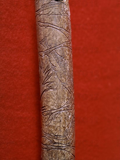 Engraved bone found in Lortet, France