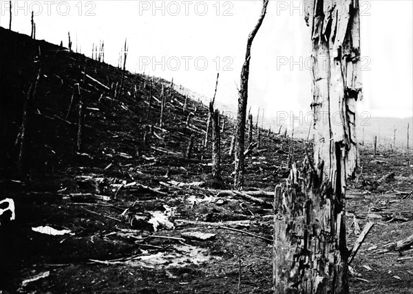 Douaumont. Le ravin de la mort