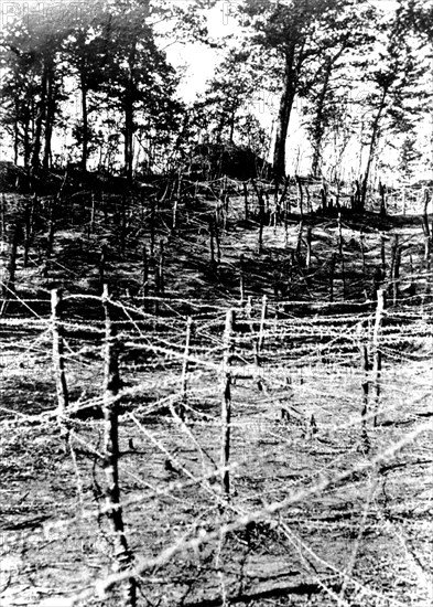 Bois de la Génerie... fils de fer, blochaus de mitrailleuse