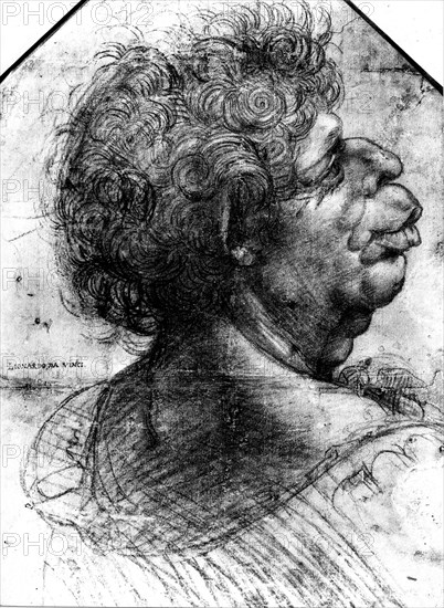 De Vinci, Tête grotesque