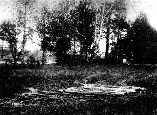 Bois près d'Ekaterinburg où furent retrouvés les restes de la famille impériale