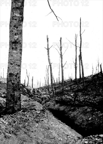 Trench in the bois de la Caillette