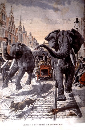 Elephant hunting on the street, France