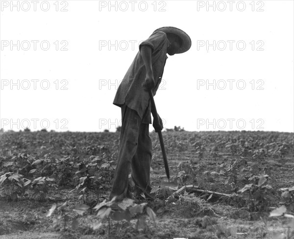 A Black man near Yayoo City. Photograph by Dorothea Lange