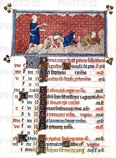 Psalter of Queen Mary. The harvest