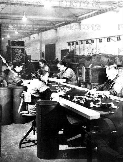 Elderly women working in factories