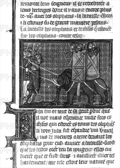 Les anciennes histoires romaines, ou "Livre de César". L'armée de César affronte les éléphants