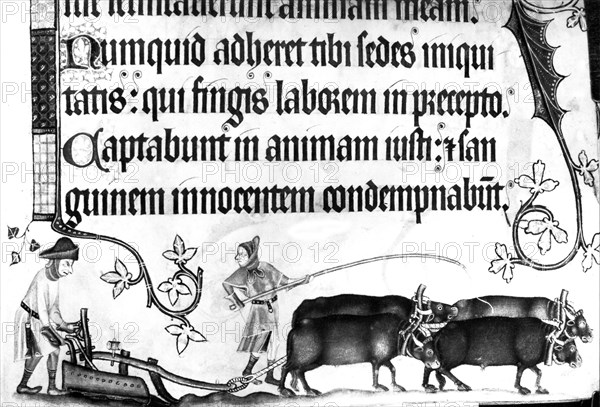 Luttrell Psalter (book of psalms): Piers Plowman