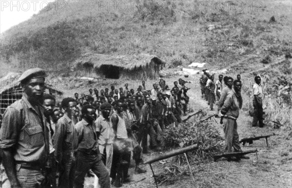 Armée révolutionnaire congolaise