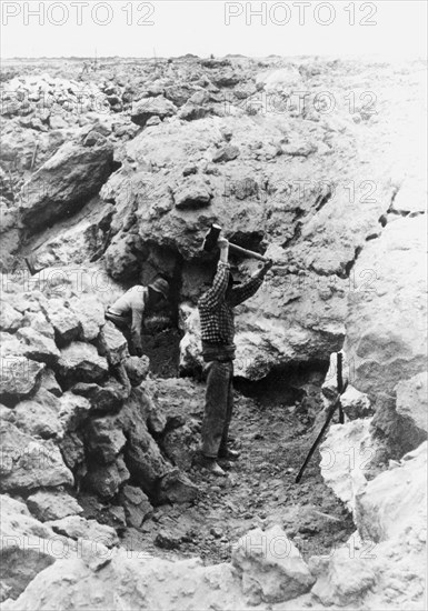 Travail dans les mines de nitrate au Chili