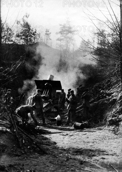 Artillerie allemande à Verdun (1914-1918)