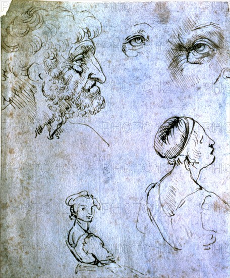 De VInci, Etude de visages