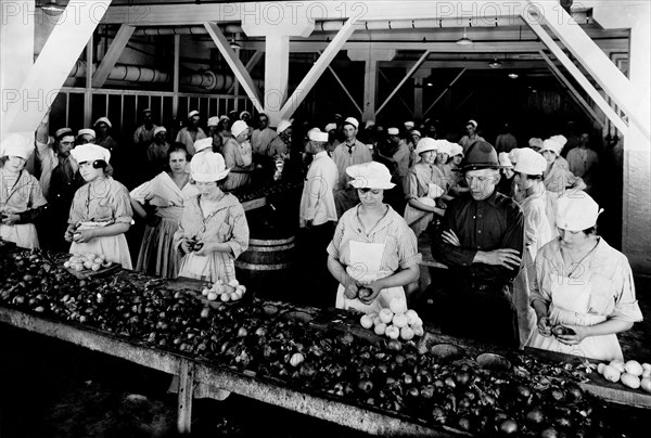 Women peeling onions for the preparation of the corned-beef during the first world war