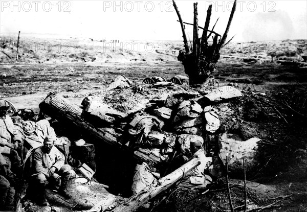 Bois de Hem. Emplacement et restes d'une batterie allemande