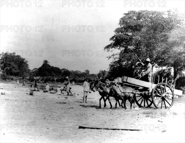 Marines using local inhabitants to build roads and bridges and to help with transportation