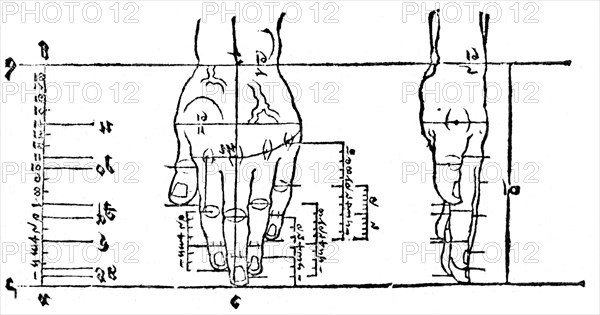 Dessin et proportion de mains