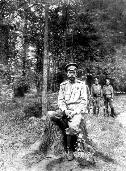 The ex-emperor of Russia, Nicholas II, sitting on a tree trunk 1917