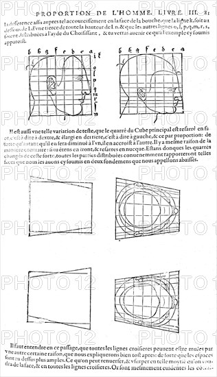 Proportions du visage humain