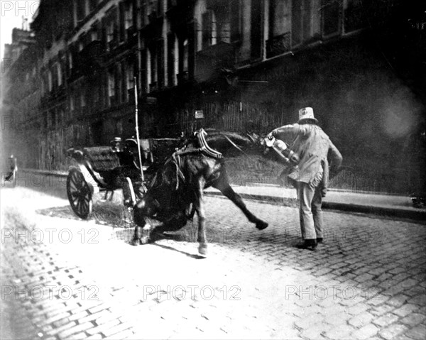 Atget, Cheval récalcitrant