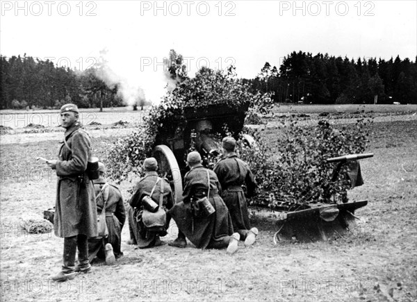 Manoeuvres militaires. Canon camouflé