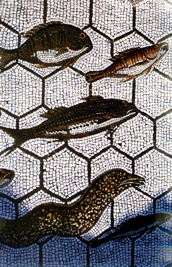 Mosaïque romaine. Poissons