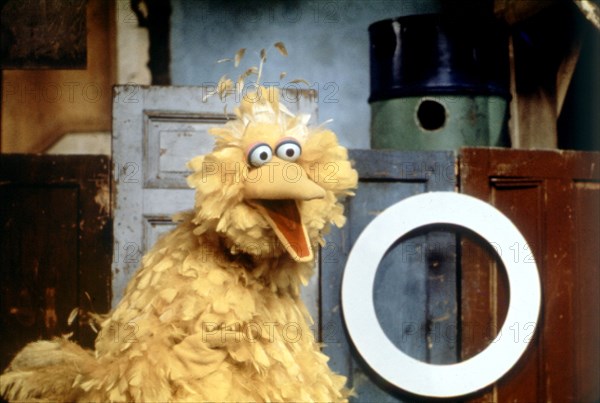 The TV show Sesame Street