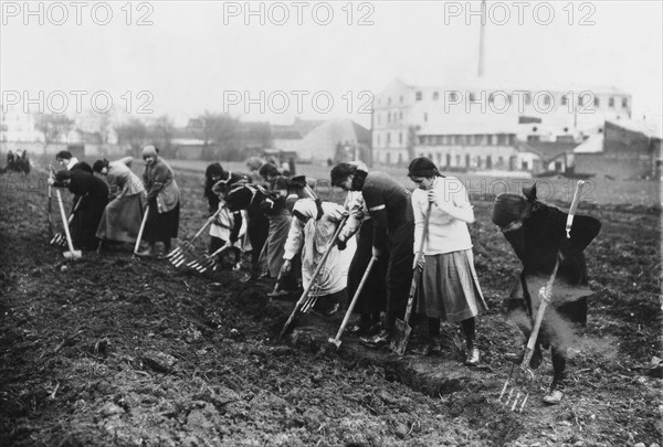 Women working in fields during world war I, 1917