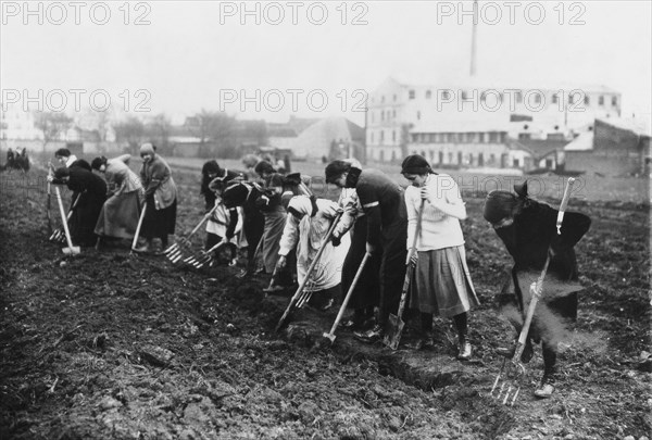 Travail des femmes à la campagne pendant la guerre, 1917