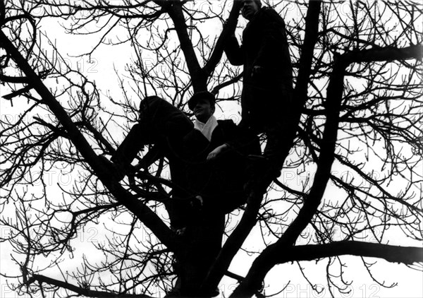 Riots in Paris, demonstrators in a tree, 1934