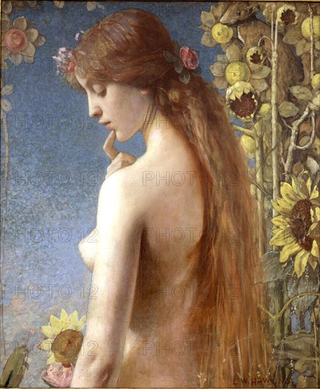 Hawkins, Clytie