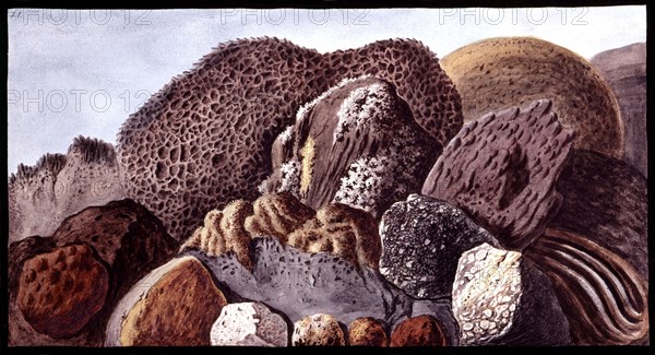 Campi Phelgrae (près de Naples), Composition de minéraux et éponges