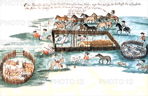 Illustration by Florian Baucke (1749-1767). Zwettler Codex. Life of Guarani Indians seen by a Jesuit father